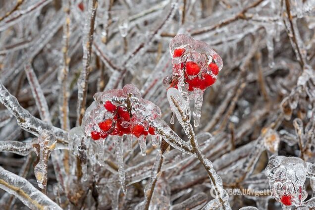Заморозки и дожди: синоптики предупредили об ухудшении погоды в Украине