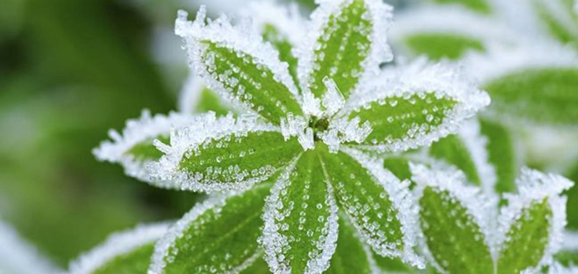 Приморозить: синоптики уточнили свіжий прогноз в Україні