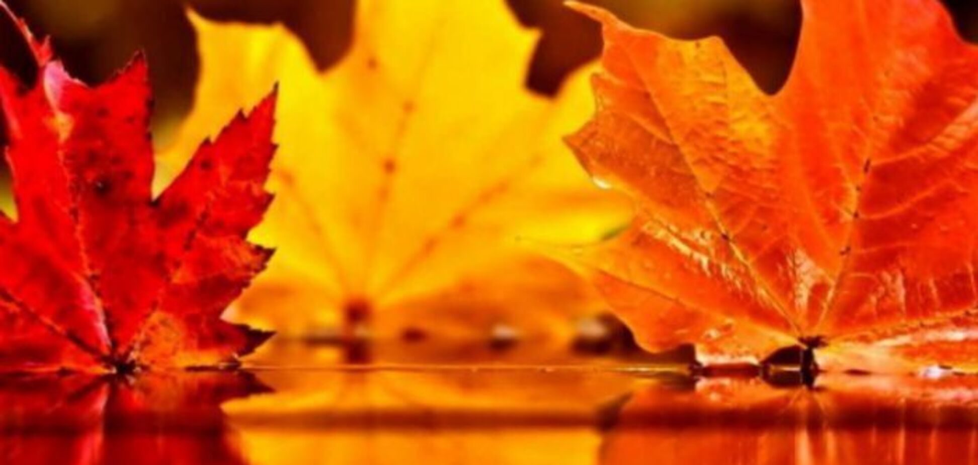 Заморозки отступают: синоптик обнадежила прогнозом по Украине