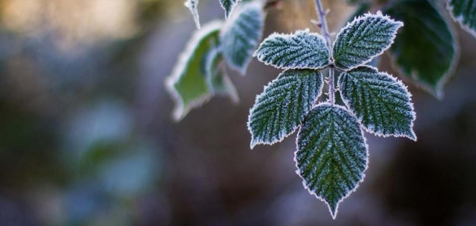 Потепление отменяется: синоптики изменили прогноз по Украине