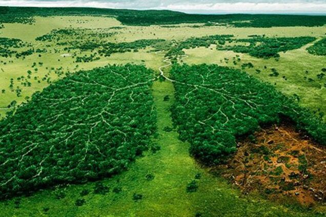 Новий закон про публічні закупівлі дозволить замовляти екотовари та послуги – Маріковський