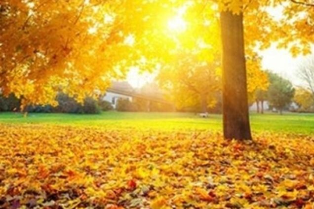 Синоптик дала теплый прогноз по Украине на выходные