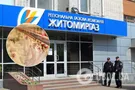 "Житомиргаз" шантажирует предприятие возможностью гибели 20 млн кур