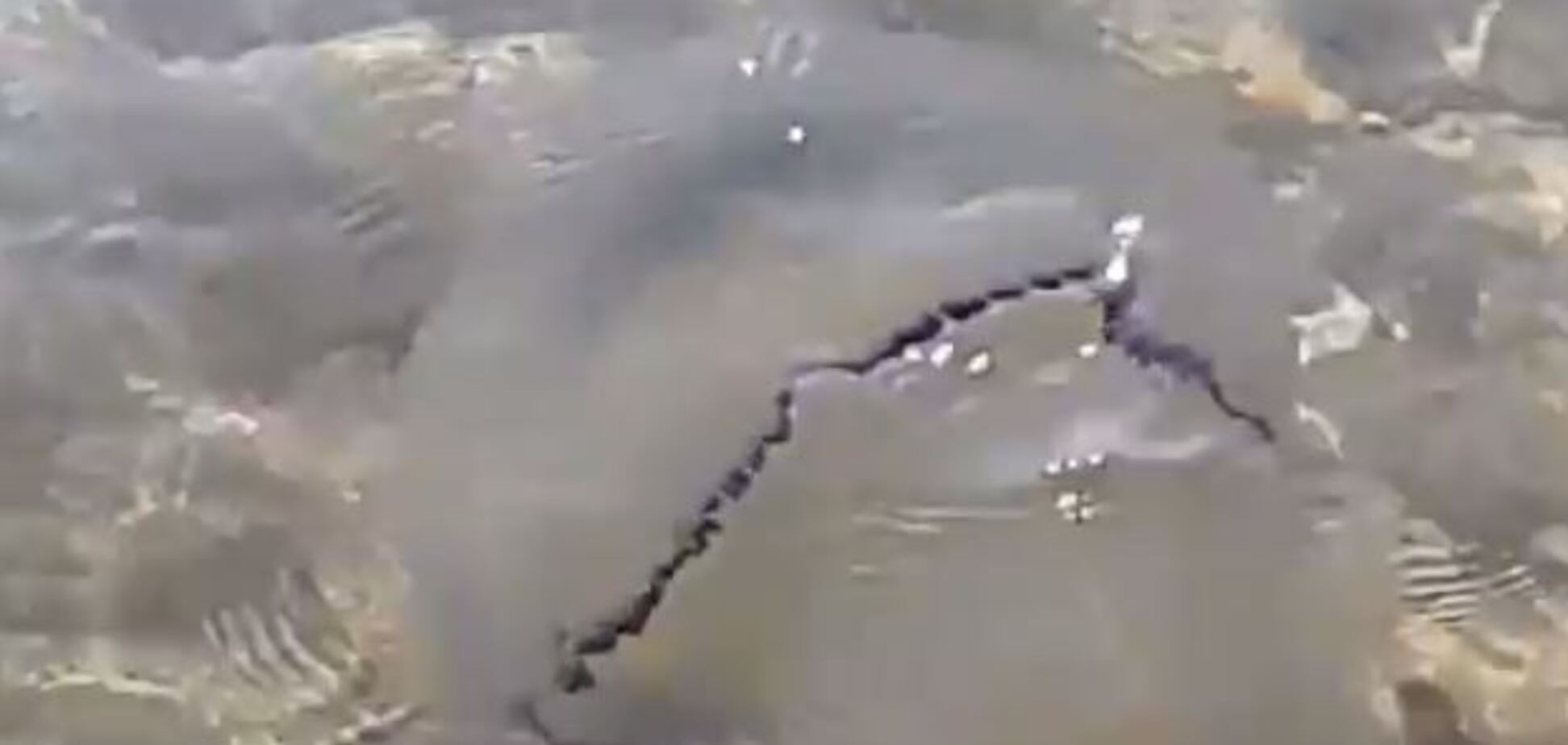 Популярний курорт України атакували величезні медузи. Відео