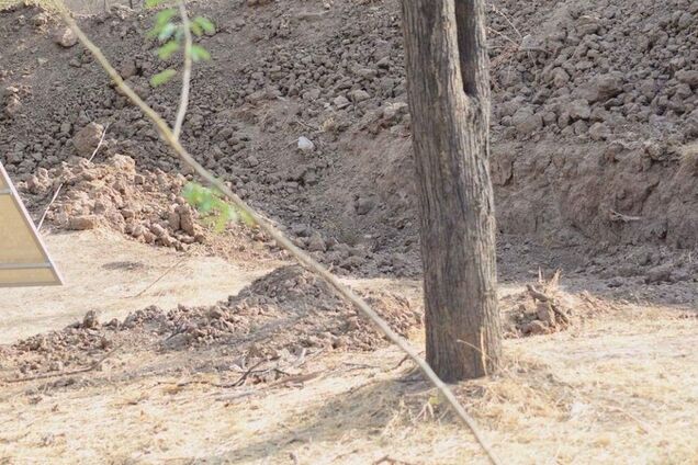 'Добре сховався!' Мережу спантеличила оптична ілюзія на фото дикої природи