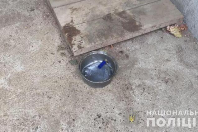 На Одещині 12-річний підліток застрелив друга: фото і відео з місця НП