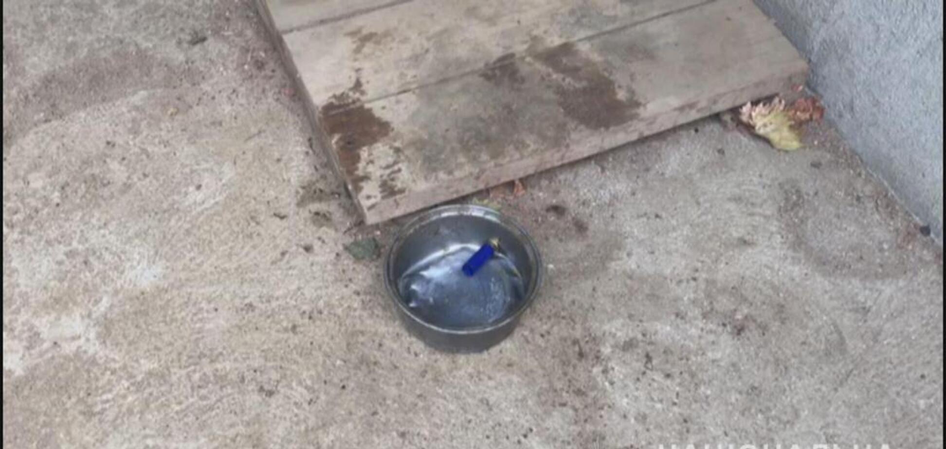 На Одещині 12-річний підліток застрелив друга: фото і відео з місця НП