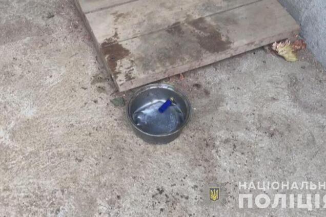 На Одесщине 12-летний подросток застрелил друга: фото и видео с места ЧП