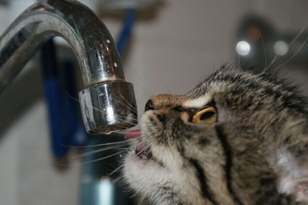 В Днепре отключат воду на целый день: список адресов