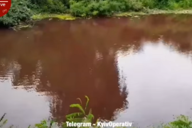 В Киеве в пруду покраснела вода: люди забили тревогу