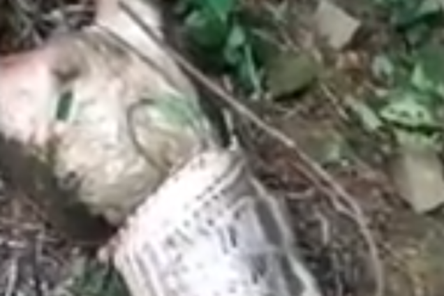 В Китае змея проглотила 40-килограммовую козу