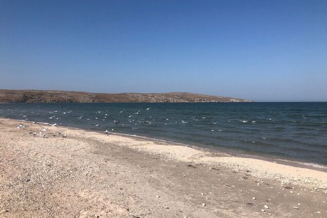 'Народу — не проштовхнутися!' У мережі показали курортний Крим за влади Путіна