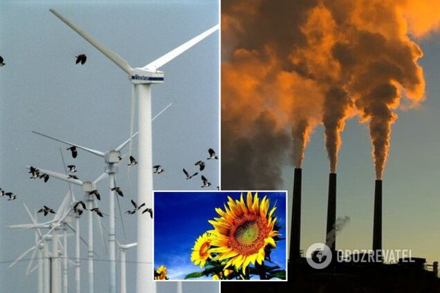Тотальні витрати і загибель птахів: розкрито несподівані мінуси 'зеленої' енергетики