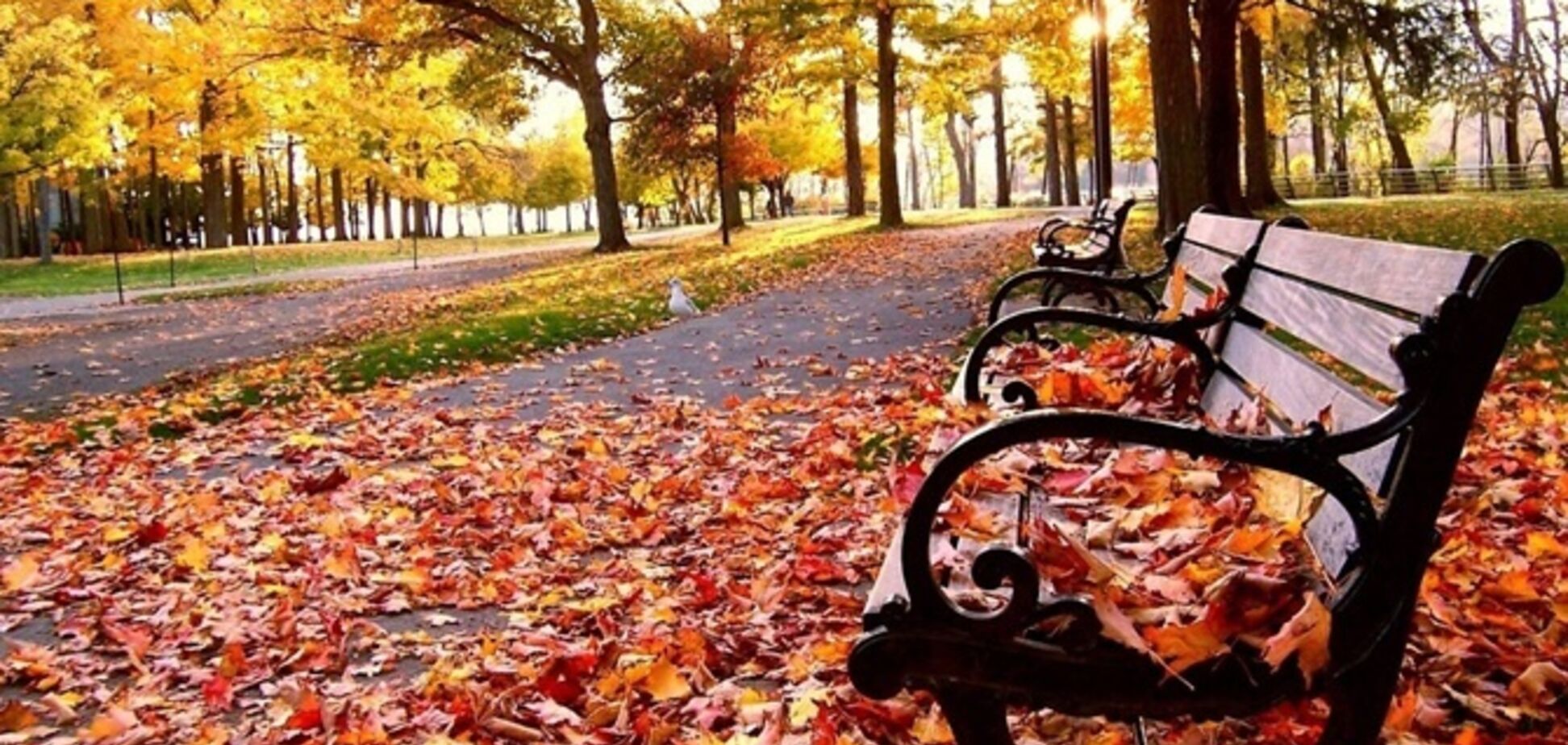 В Киеве начнутся похолодание и затяжные дожди: названа дата