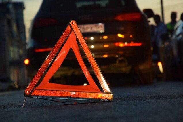 Поваленное дерево и разбитая голова: в Днепре произошло серьёзное ДТП