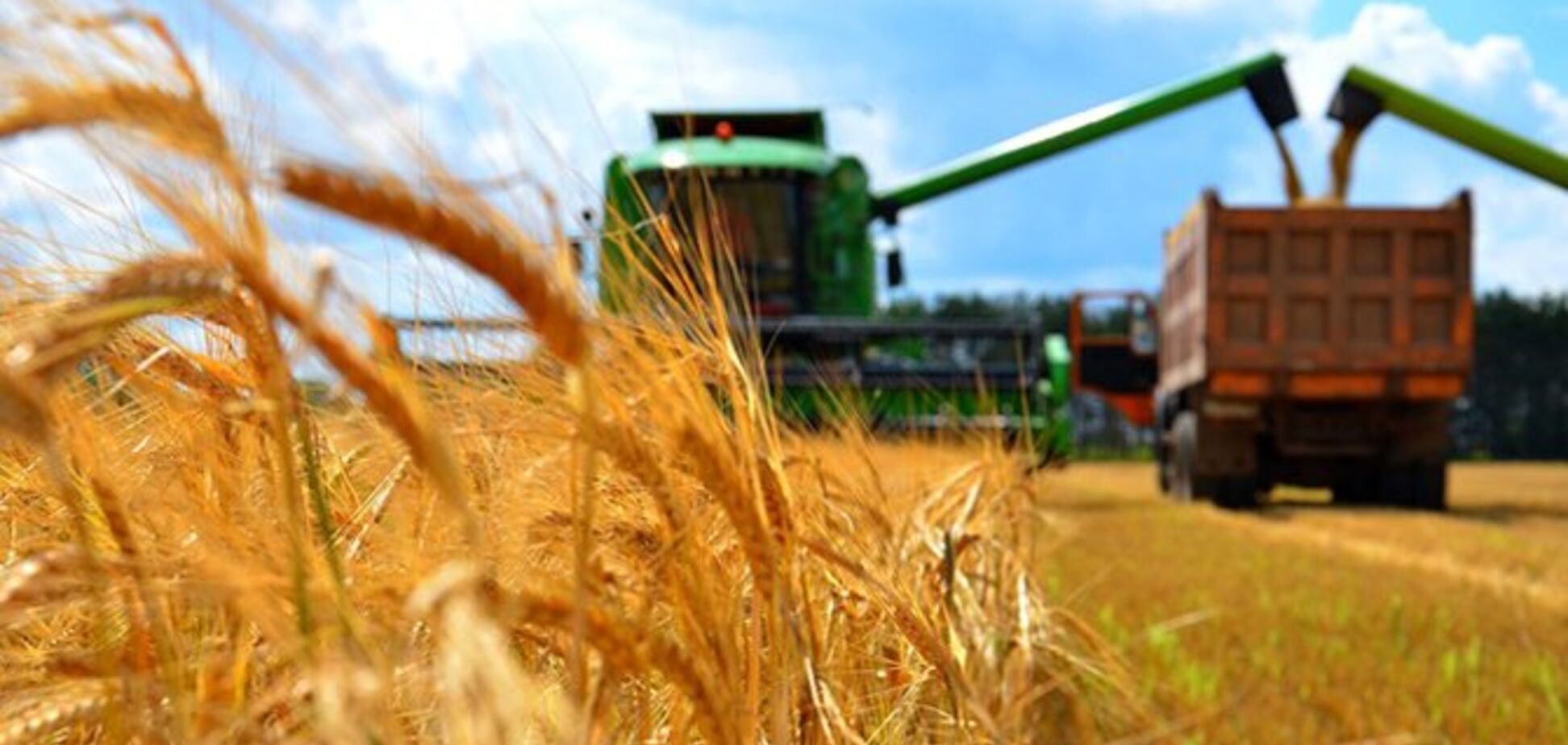 Косюк и Колесников: названы самые большие налогоплательщики Украины в АПК