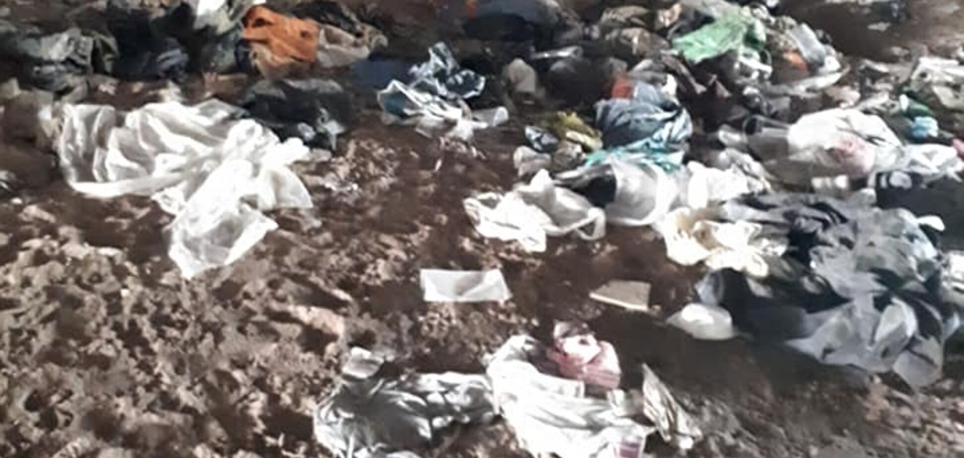 Пляж в Днепре превратили в помойку