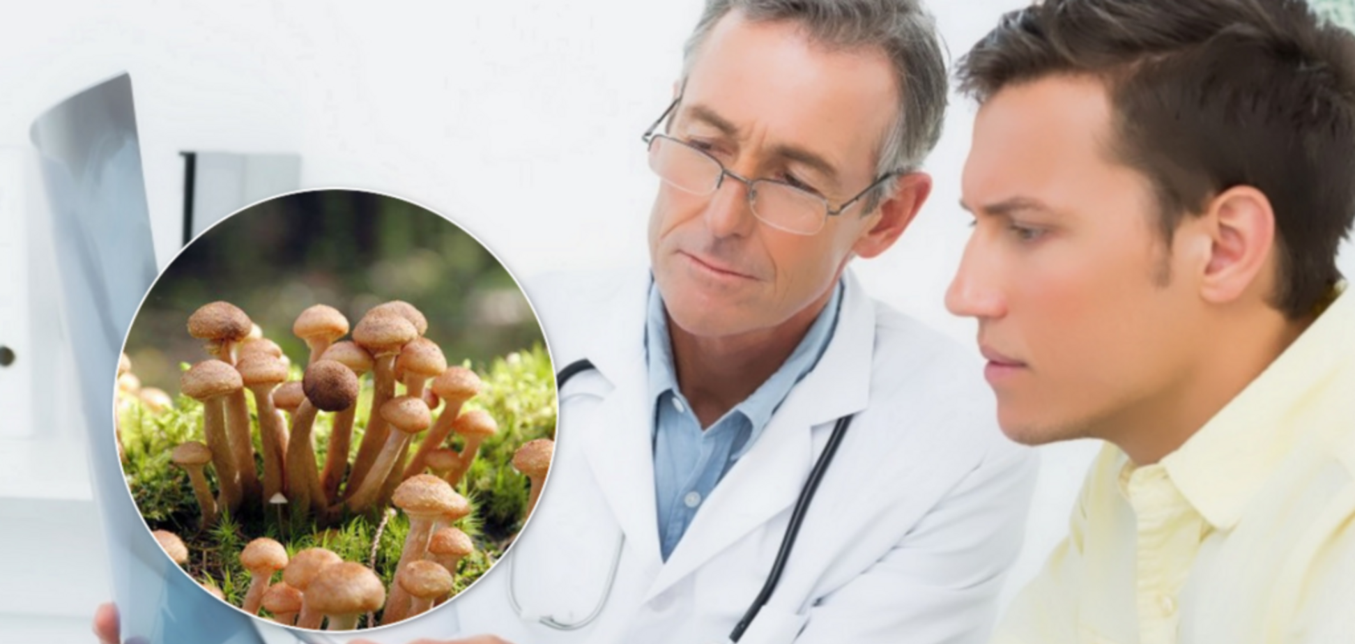 Лікування раку: з'ясувалася цілюща властивість грибів