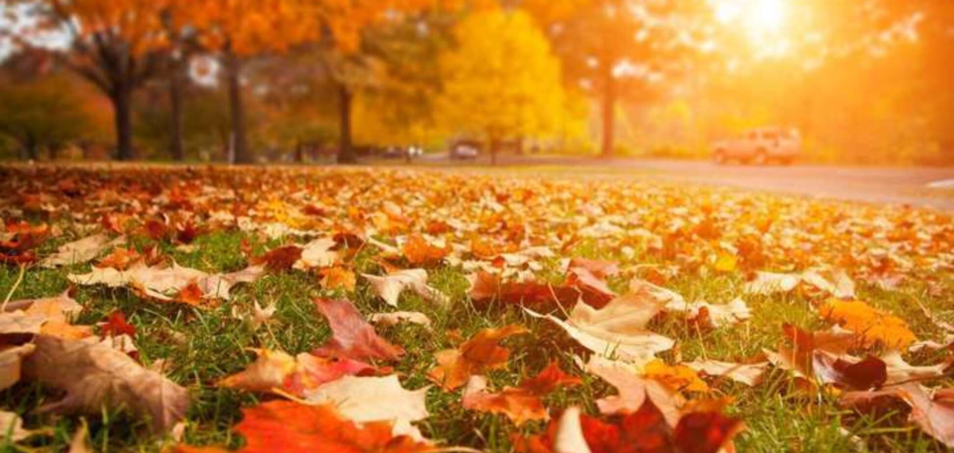 З'явився прогноз погоди в Україні на тиждень