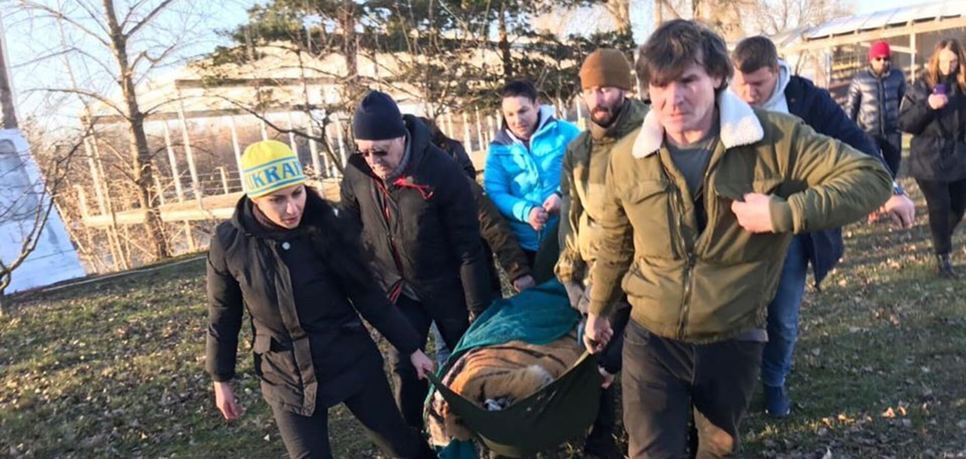 У Києві знайшли покинутих тигрів