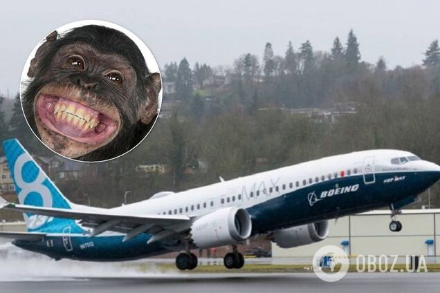 'Робили клоуни під наглядом мавп': оприлюднено скандальне листування співробітників Boeing