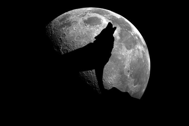 Волчье полнолуние: в Украине увидели первое затмение в 2020 году. Онлайн-трансляция