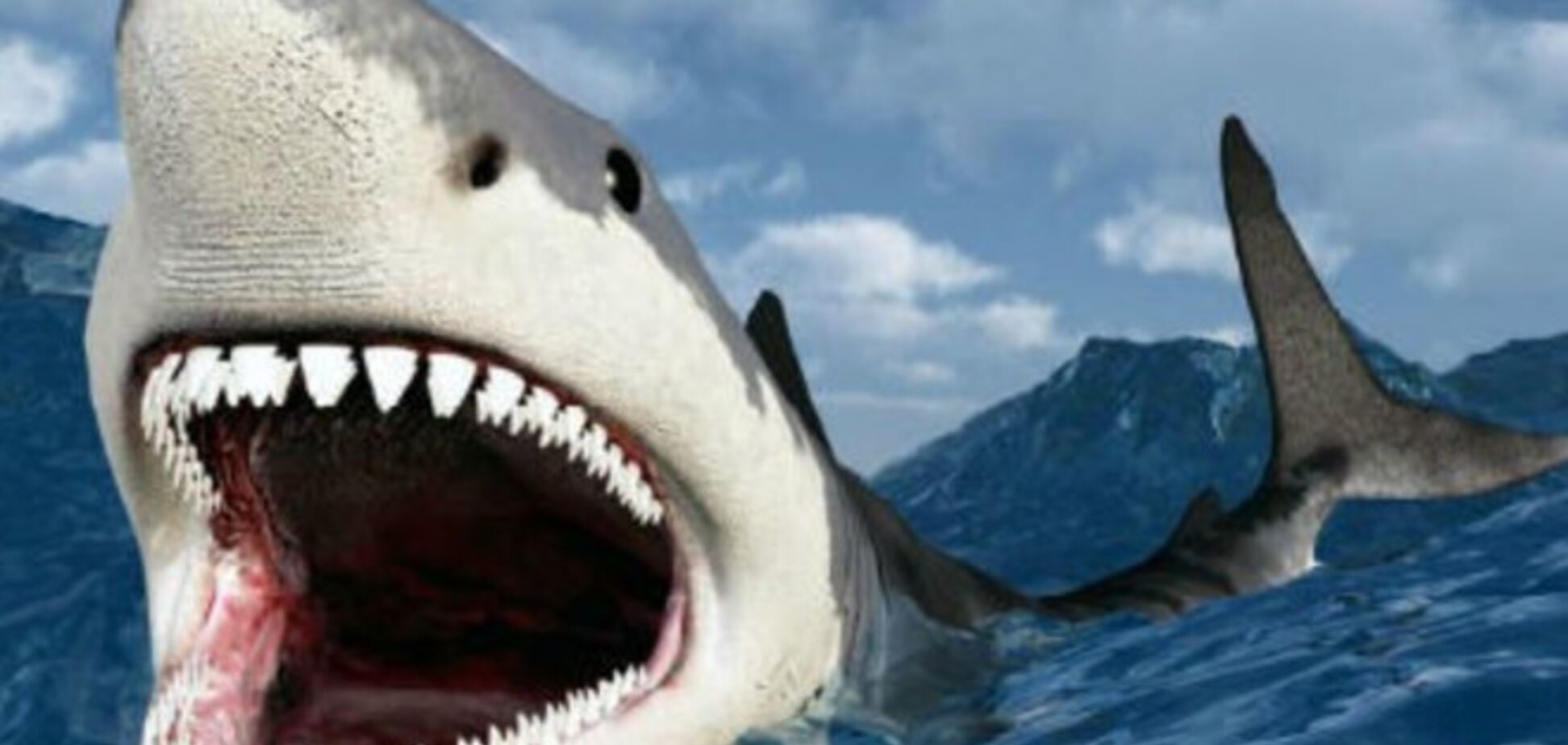 В Австралии акулы съели чемпиона по футболу
