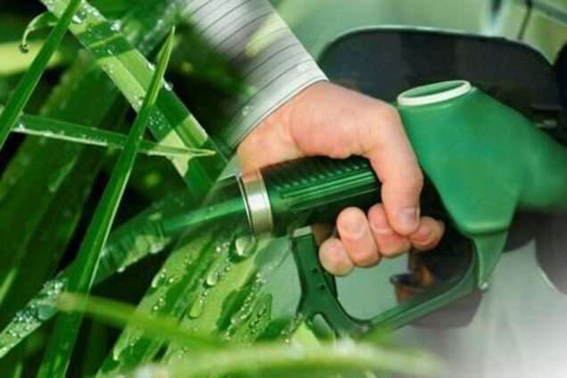 Дешевый бензин: появится ли он в Украине?