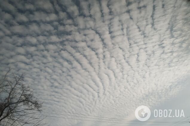 Погода в Одессе