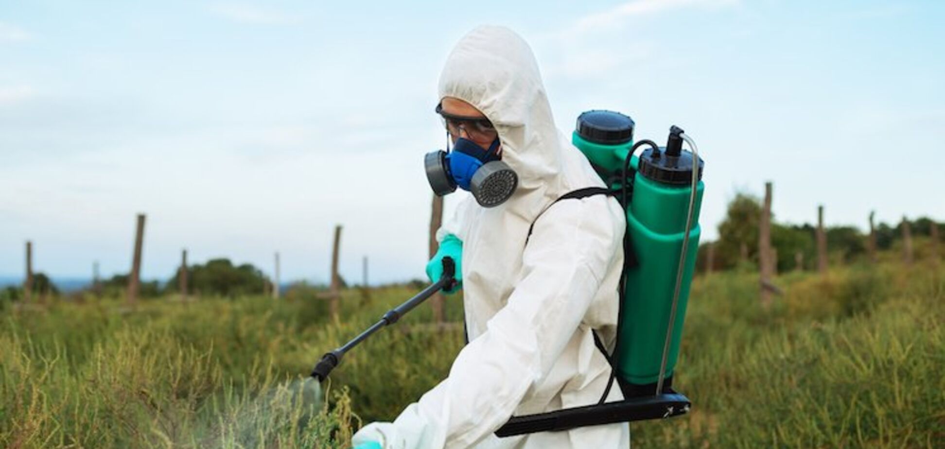 'Шлях до вимирання України': активісти різко розкритикували скандальний законопроект про пестициди