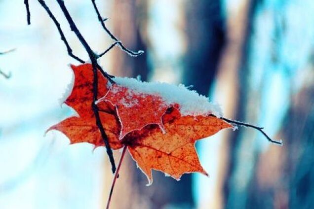 Погода в Украине с 13 по 19 января