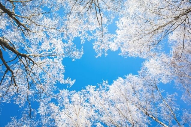 Зима скасовується: синоптикиня порадувала теплою погодою в Україні