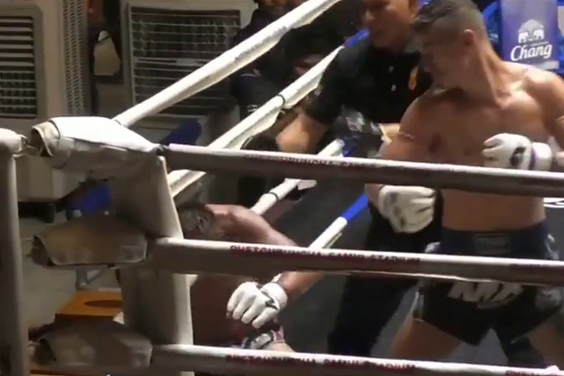 Український боксер брутально нокаутував суперника - опубліковано відео