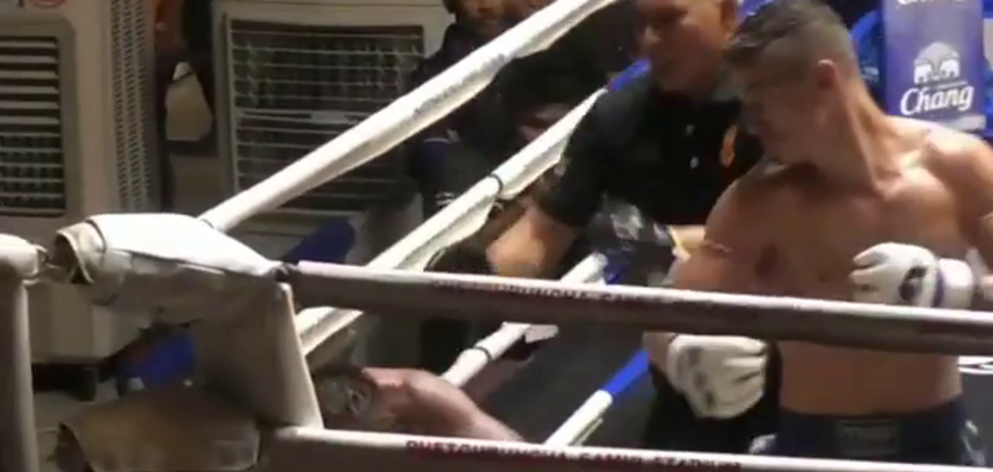 Украинский боксер брутально нокаутировал соперника - опубликовано видео