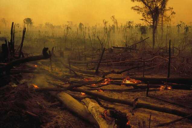 'Настоящий ад': ученые предупредили человечество о грядущем коллапсе