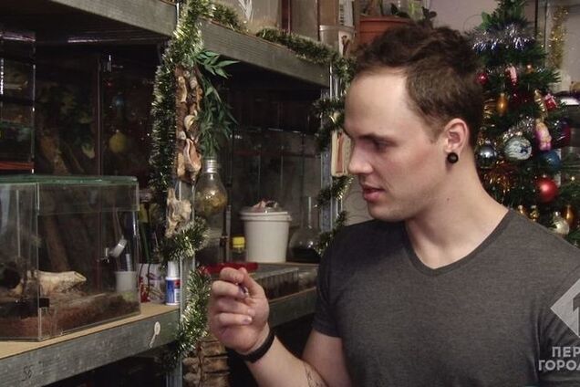 Одесит живе в квартирі з тисячею павуків-птахоїдів