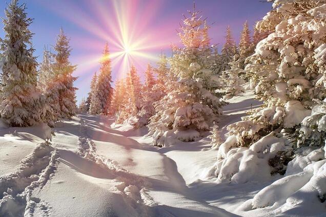 Приметы и праздники 15 января: что нельзя делать в этот день