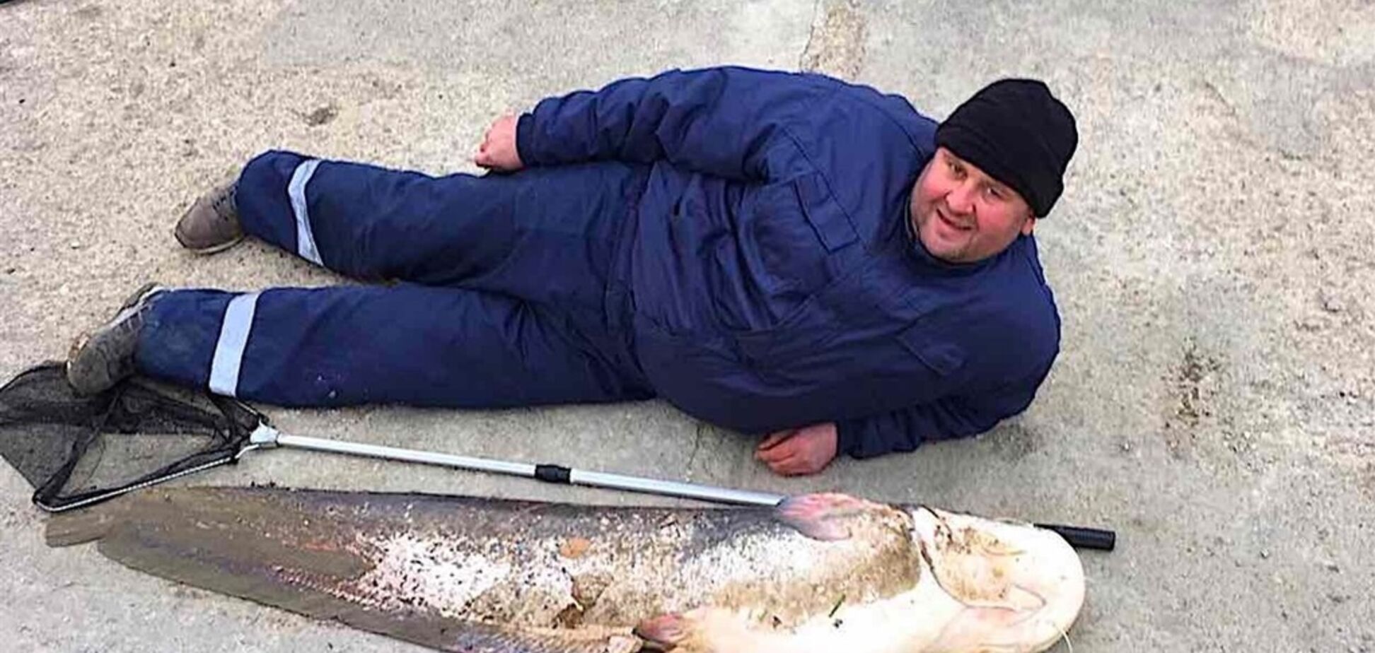 На Дунае рыбаки поймали сома в человеческий рост