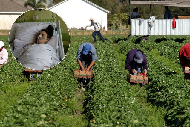 Вывез в парк и бросил: как и почему из-за работодателя скончалась молодая украинка в Польше