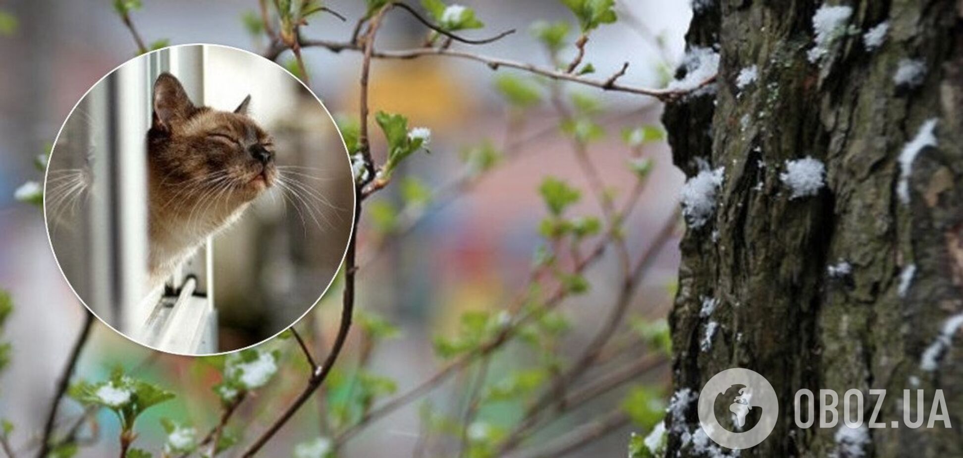 'Можна помріяти про весну!' Синоптикиня попередила про похолодання в Україні