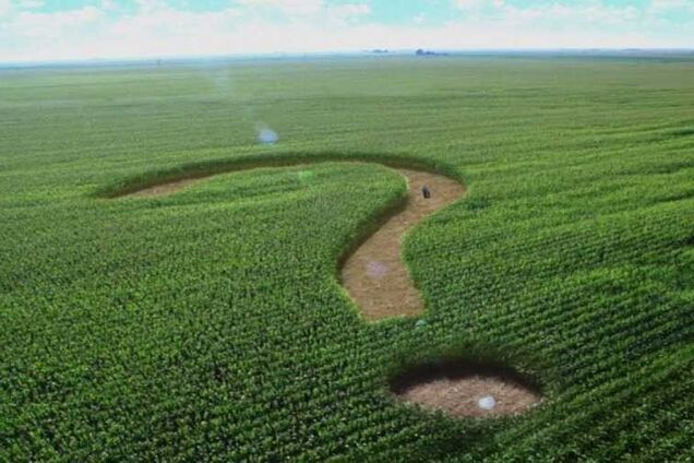 Земельні поправки: голосувати не можна зняти з розгляду – де поставити кому української державності