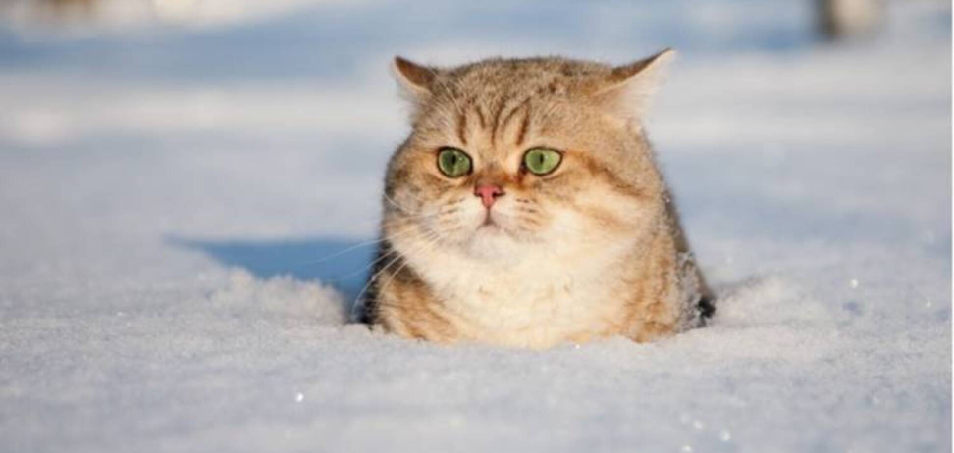 З'явився несподіваний прогноз на зиму в Україні