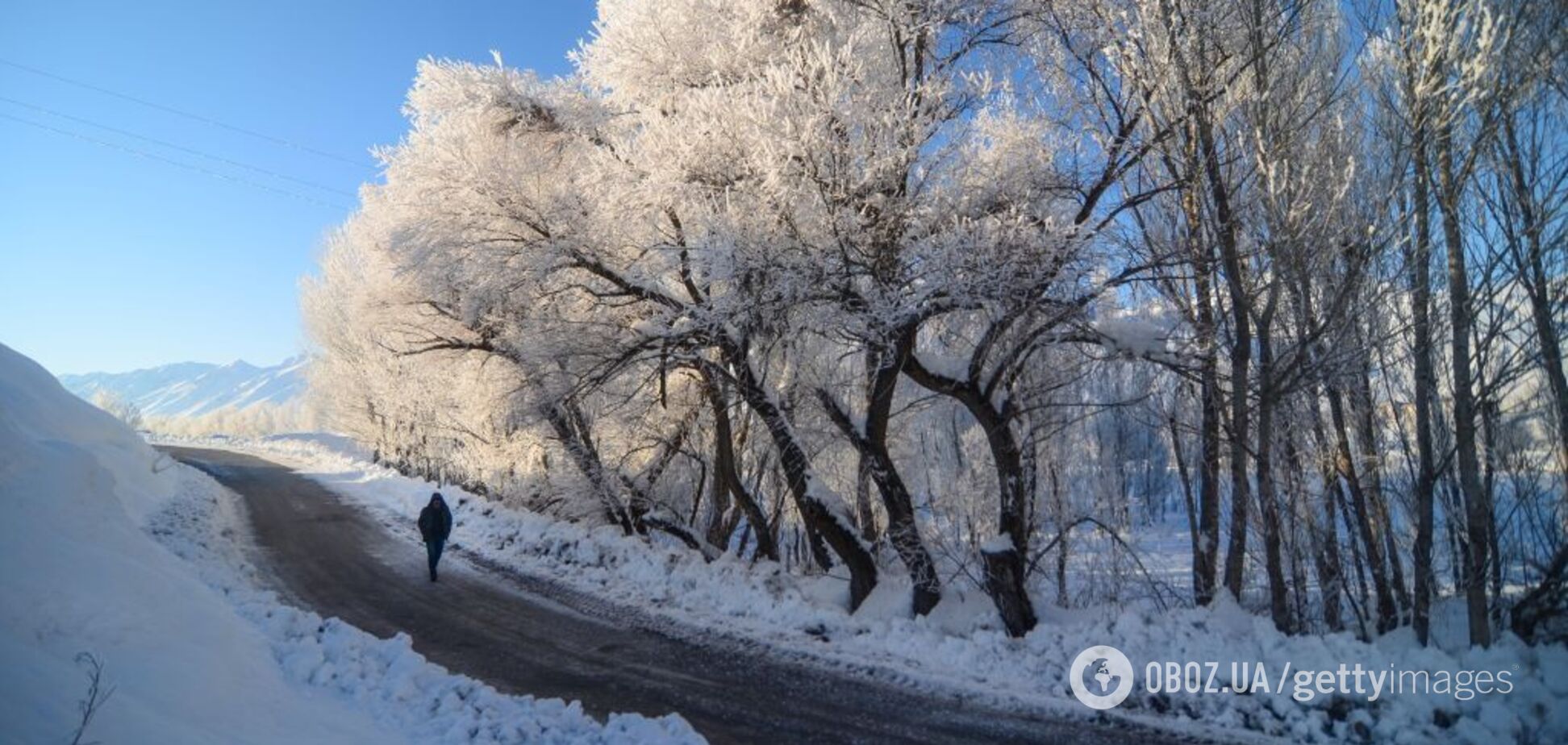 Тепло зникає: синоптикиня повідомила, коли вдарять морози в Україні