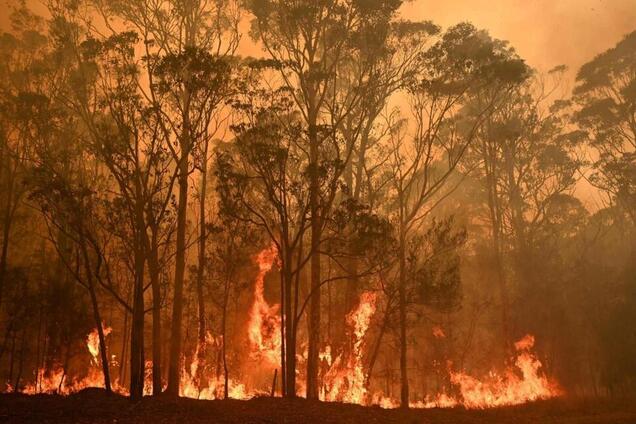 Лісові пожежі в Австралії різко вплинули на роботу сонячних електростанцій