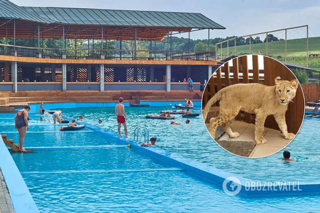 Скандальный застройщик Войцеховский угробил элитное поместье под Киевом: как оно выглядело