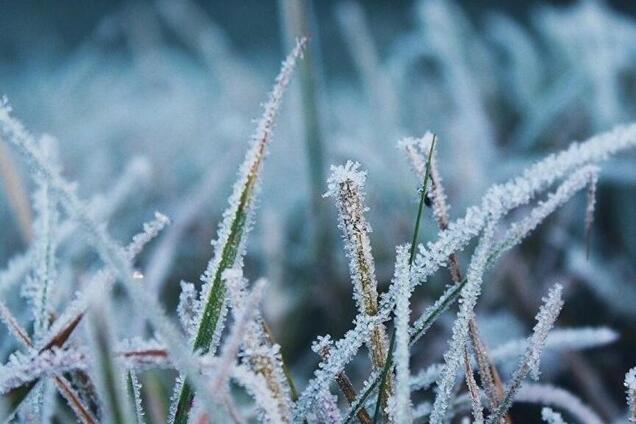 Ударят сильные морозы: синоптик дал пугающий прогноз на весну-2020 в Украине