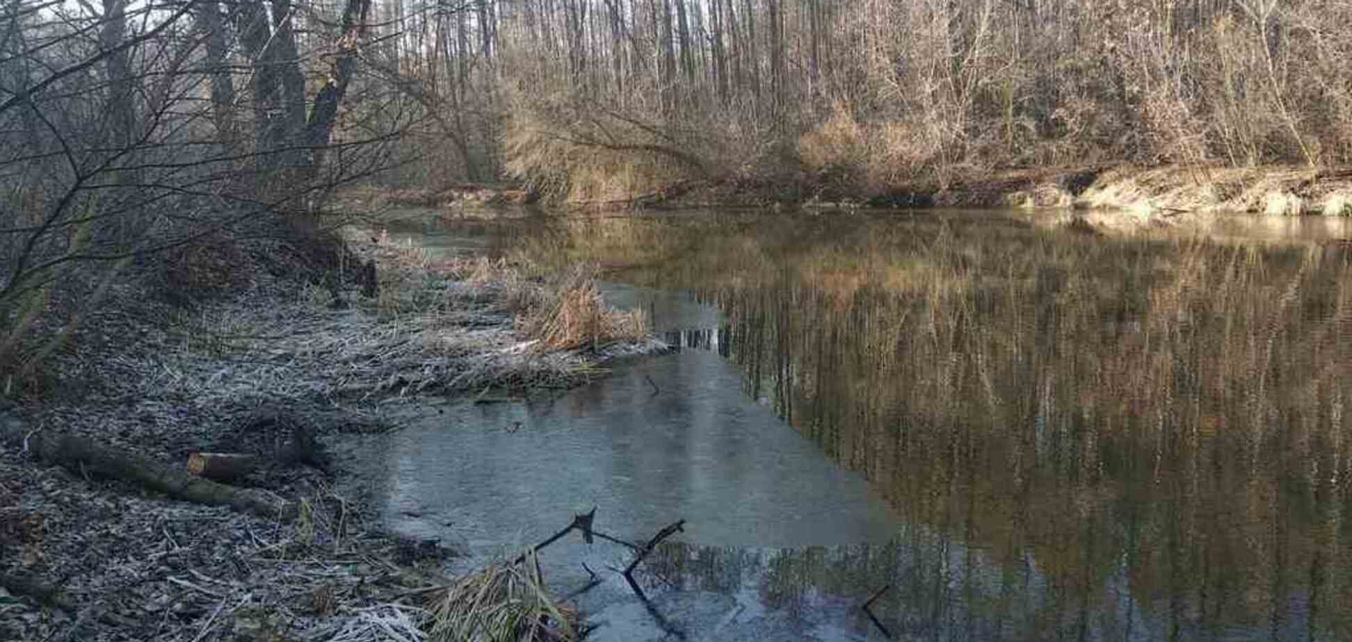 На Хмельниччине фабрику заподозрили в выбросе отравы в реку: экологи забили тревогу