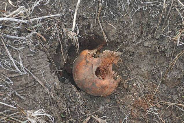 В Днепре возле автовокзала нашли человеческий череп. Фото 18+