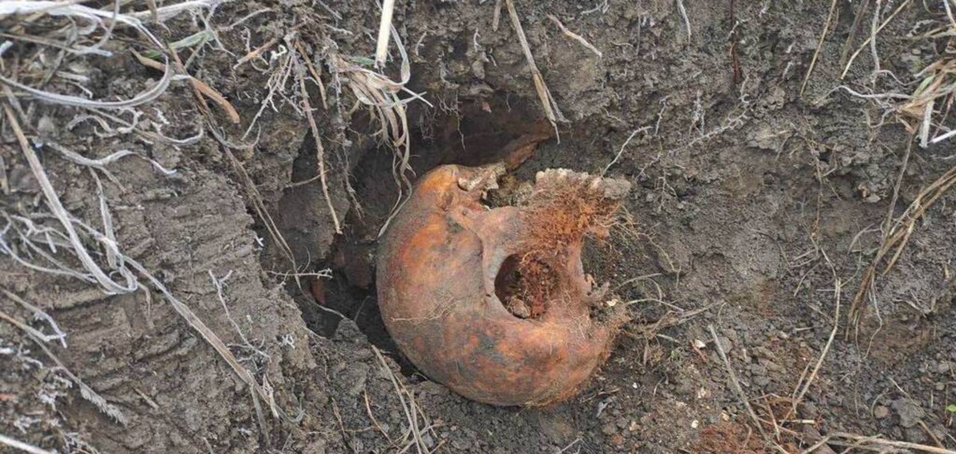 У Дніпрі біля автовокзалу знайшли людський череп. Фото 18+