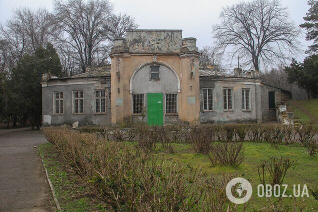 Зима не спешит в Одессу: фоторепортаж из старейшего городского парка